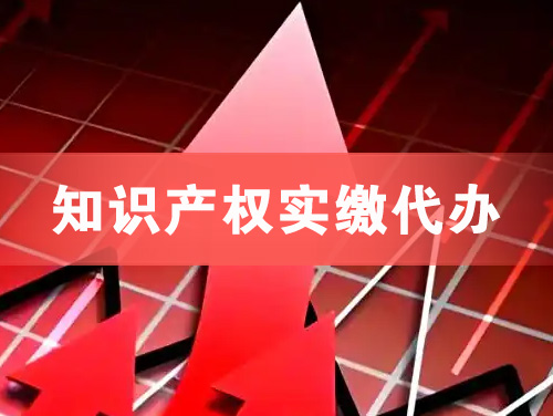 呼和浩特知识产权实缴资本代办